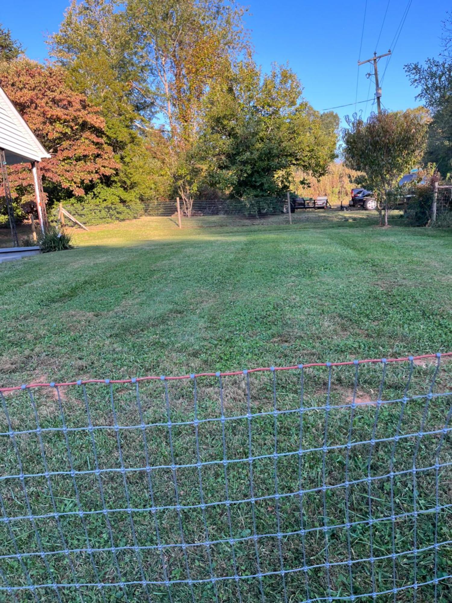 Giggling Creek Cottage - Bedjet! King Sized! Gazebo, 45 Acres, Arcades, Nintendo, More Henry Extérieur photo